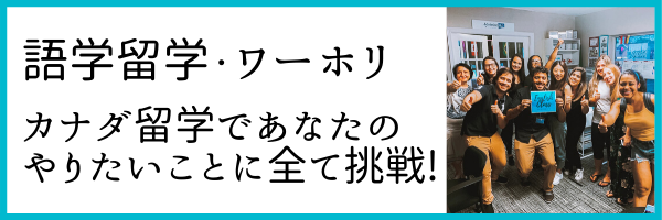 Language School